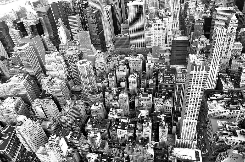 Escaping from the "Concrete Jungle" David's Diet Rant by David Wilcock